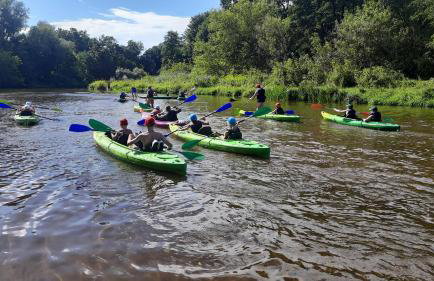 Pasieka Dobro i Smak - Foto 19