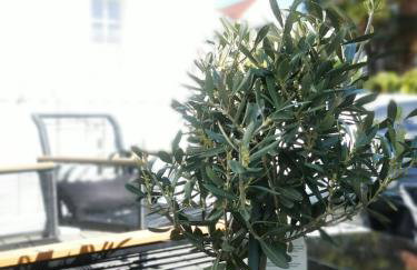 Homelig Ferienwohnung 1 Altstadt Sassnitz - Foto 16