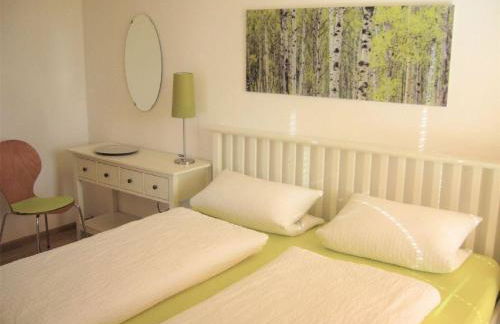 Ferienwohnungen Schönbachtal - Foto 45