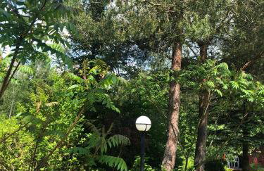 DOM Z BALI Villa Bajkowy Dom - Foto 49