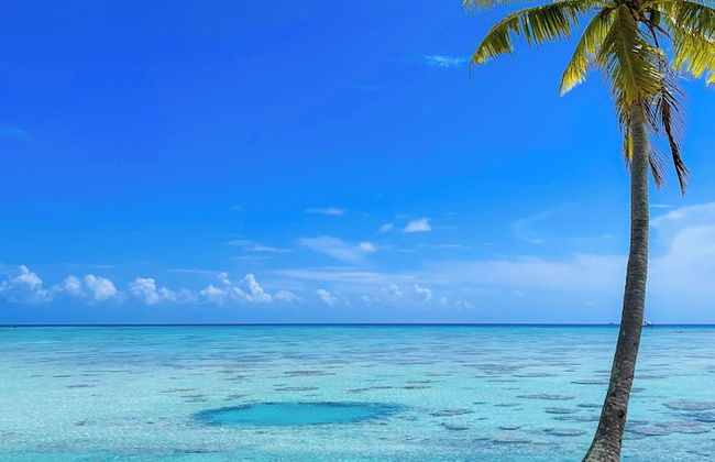 Motu Fara Private Island - Photo 60