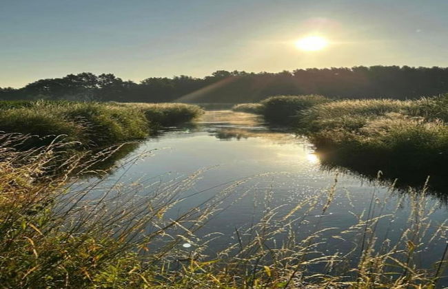 Holiday Home in Oisterwijk With Private Pool - Foto 34