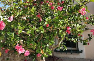 Villa BelaVista with Private Pool - Foto 13