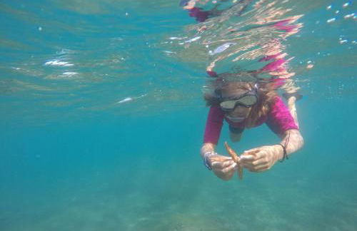 Espectacular en primera línea de la playa - Foto 62