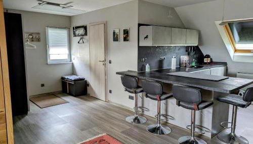 Radfahren, Reiten und mehr - Photo 2