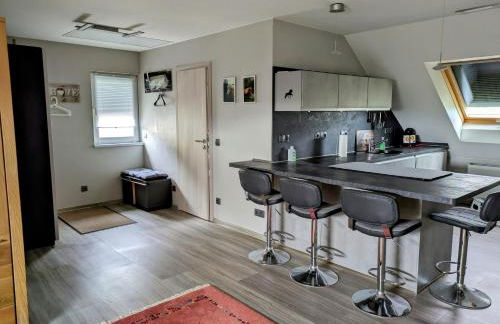 Radfahren, Reiten und mehr - Foto 2