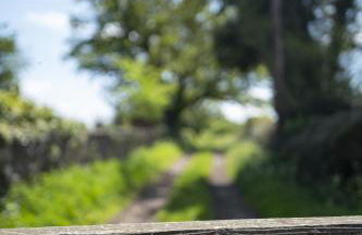 Little Underhill - Photo 57