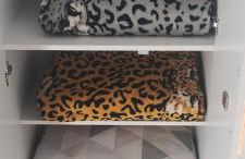 Kitnet montanha mágica - Photo 22