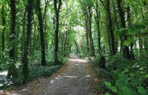 Woodlands Cottage - Photo 27