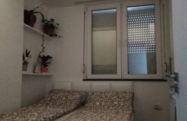 Lovely 2-bed Apartment in Novi Sad - Photo 7