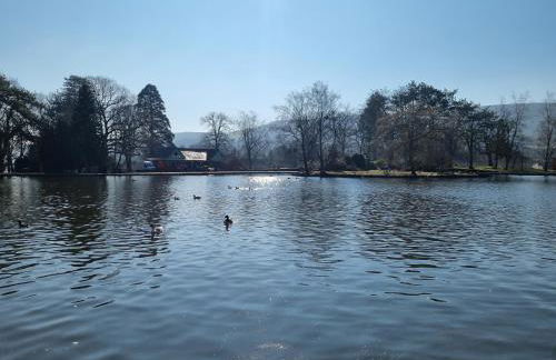 Dare Valley Cottage Ex miners cottage Near Zip World Pen y fan Waterfalls - Photo 25