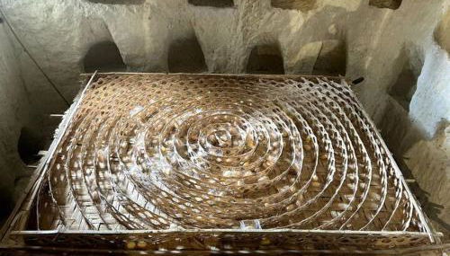 La Petite Caravelle 2 pièces sur jardin - Foto 5