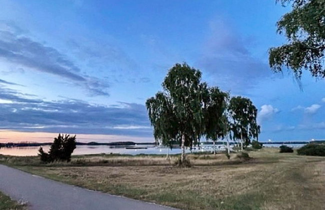 4 Person Holiday Home in 38472 - Foto 5
