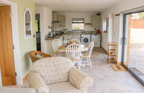 Black Cat Bach - Foto 8