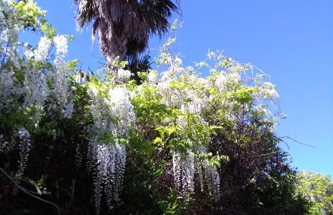 Maison Alighieri Oasi Verde - Photo 32