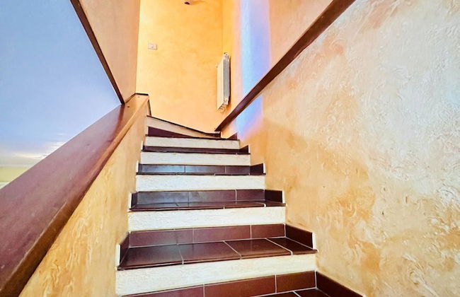 Badualga Pink - Foto 22