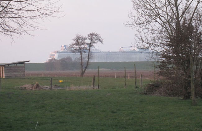 Deichschätzchen - Foto 17