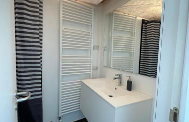 Lugano Lake, nido del cigno - Foto 10