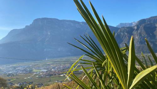 Agritur Chalet Belvedere - Foto 5