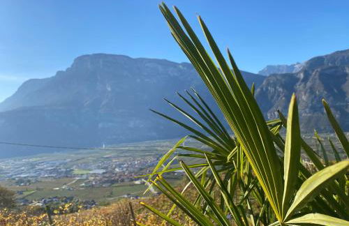 Agritur Chalet Belvedere - Foto 5