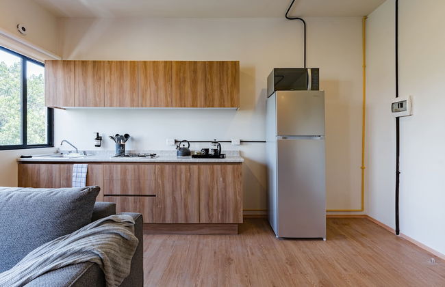 Mariano Escobedo Apartments by VH - Foto 52