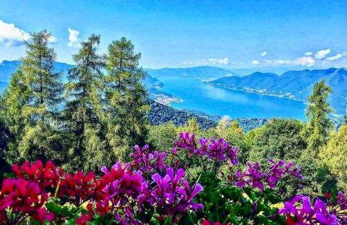 Il GLICINE - Foto 55