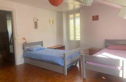 La glycine - Foto 28