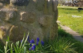 Gemütliche Ferienwohnung unterm Reetdach - Foto 8