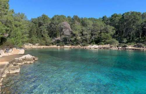 Hvar Architect's House - Photo 60