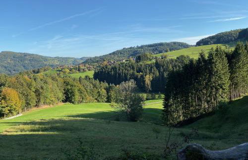 Ferien-Apartment im Genusshotel Hirschen (Südschwarzwald) - Foto 25