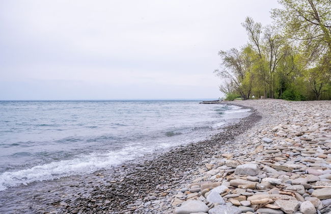 GLOBALSTAY Sunny Basement Brontë park - Foto 31