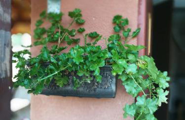 Holiday home Pustodol - Photo 12