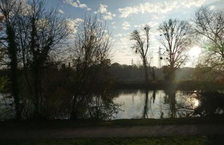 La Tour de l'Ill - Foto 32