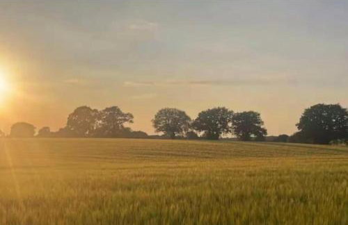 Tranquil detached barn in Sherborne St John - Foto 9