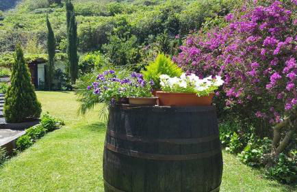 Quinta O Refúgio - Foto 52