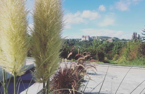 Appartement Burgblick - Foto 10