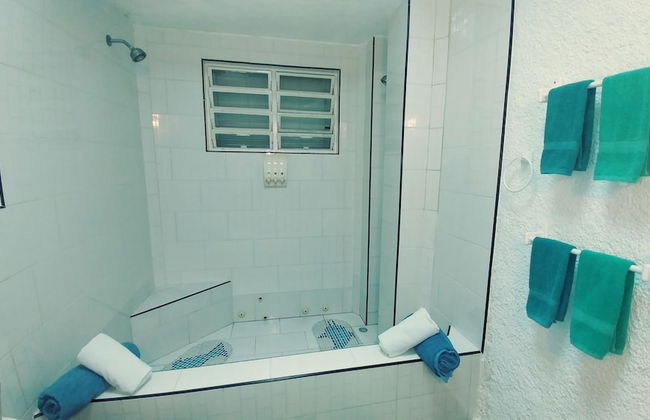 Boutique Vedado Villa - Photo 70