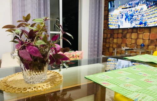 Calmo e aconchegante apartamento térreo com quintal - Foto 8