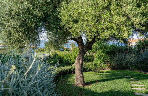 Villa Puntaldia - Photo 77