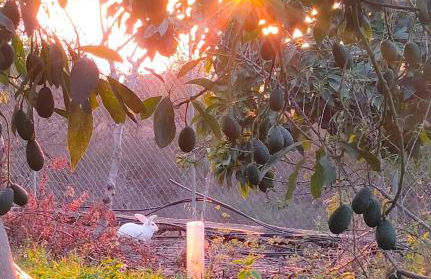 La casa de La Cartita - Foto 36