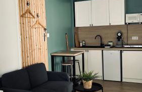 Studio refait à neuf avec jardin Aigues Mortes - Foto 11