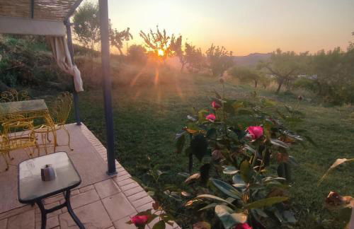 Country Studio Apartment - Photo 11