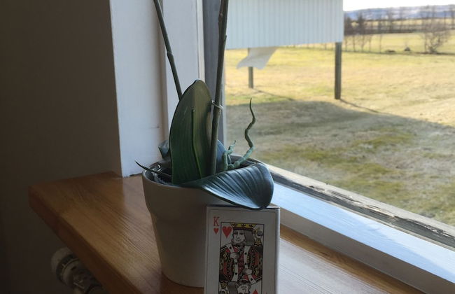 South Central Country Apartment - Foto 10