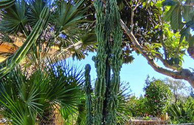 Villa Sargheruoli - Foto 70