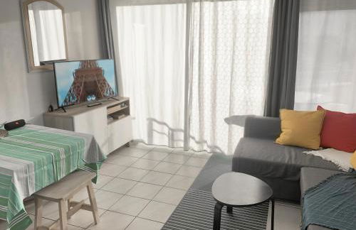 Studio au calme avec piscine, face golf, parking gratuit, tout à pied à 10mn centre ville - Foto 5