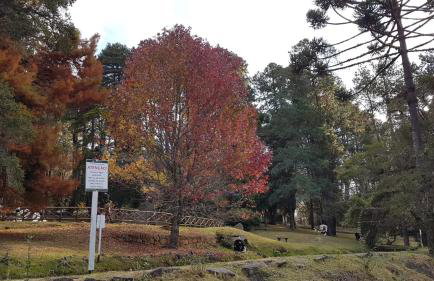 Condessa de Bonneval em Campos do Jordão - Foto 61