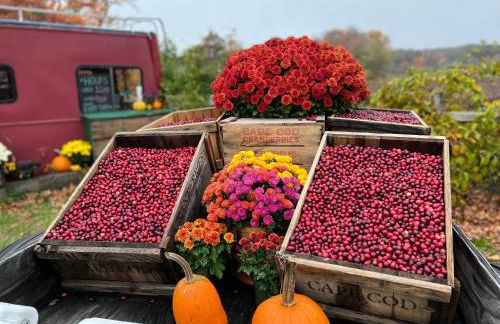 A Cozy Cape house steps to Restaurants & Beaches ~1.4 miles down scenic roads - Foto 52