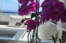 Oltre l'essenza del mare - Foto 6