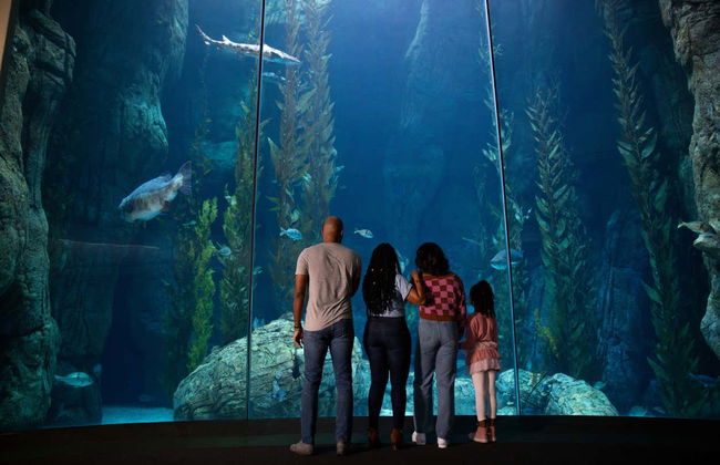 Billet pour l'Aquarium of The Pacific - Photo 7