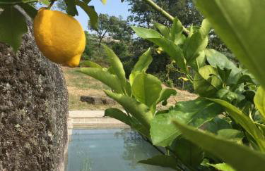 Quinta do Sobral de São Geraldo - Foto 32